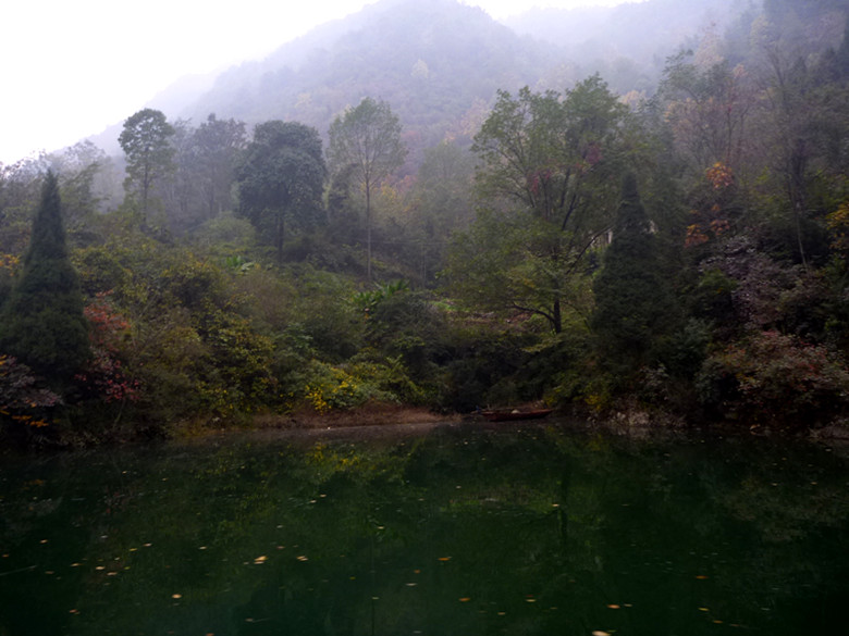p1090279_.jpg