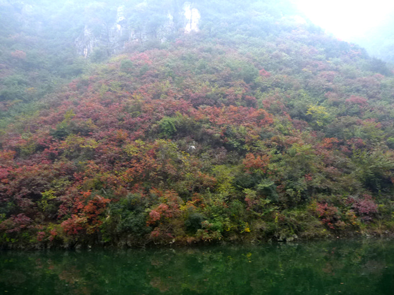 p1090444_.jpg
