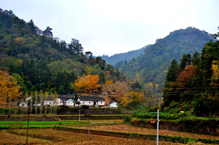 dsc_9751_conew1.jpg