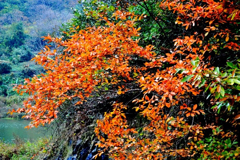 dsc_9666_conew2.jpg