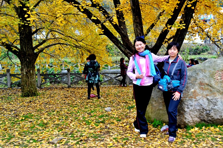 dsc_9426_conew1.jpg