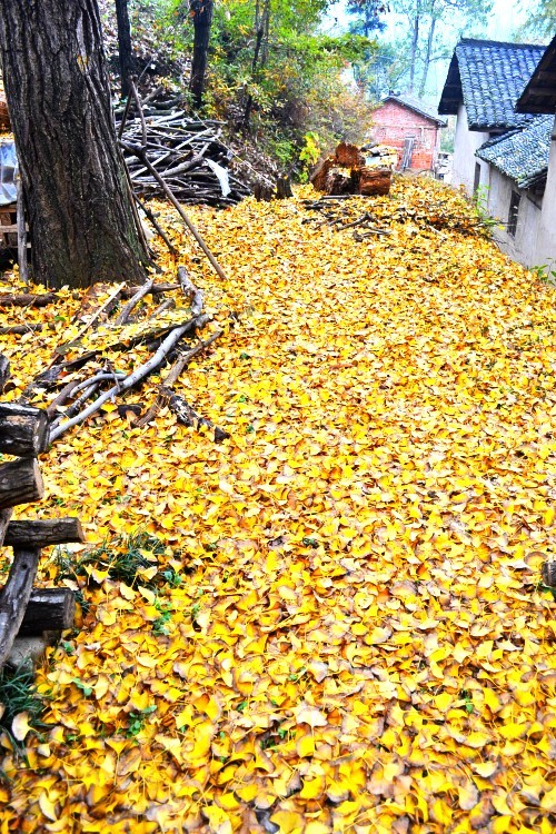 dsc_9266_conew2.jpg