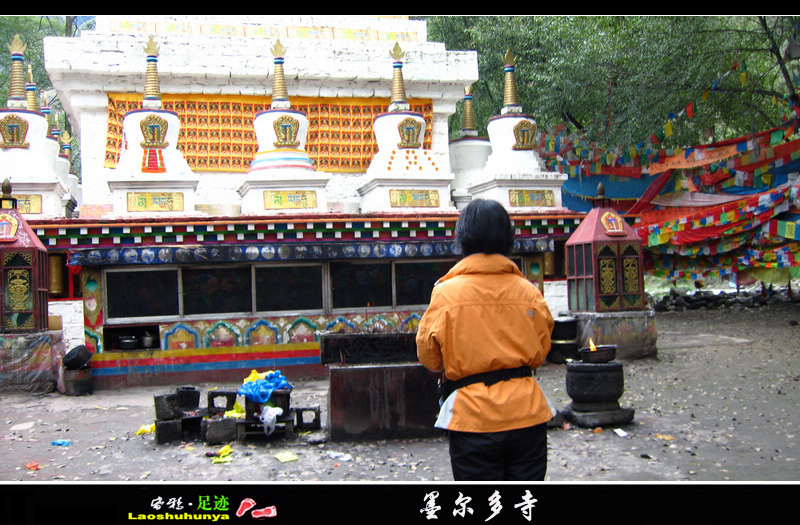 2011ī 133.jpg