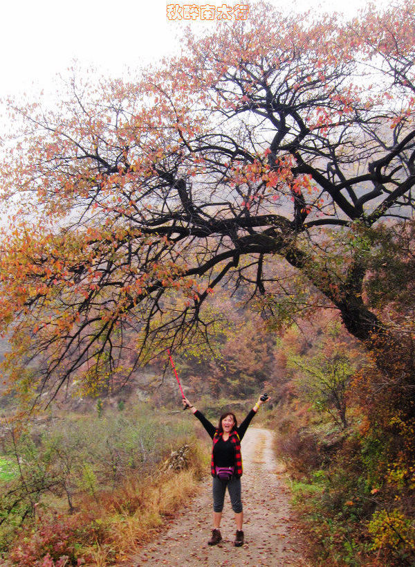 201111108334940301-cherry02-1.jpg