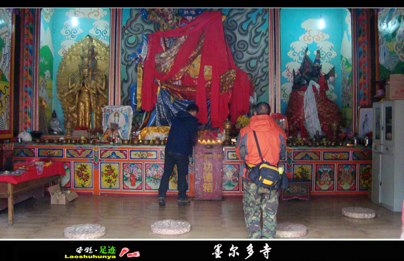 dsc07562.jpg