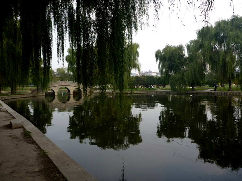 p1080851_.jpg