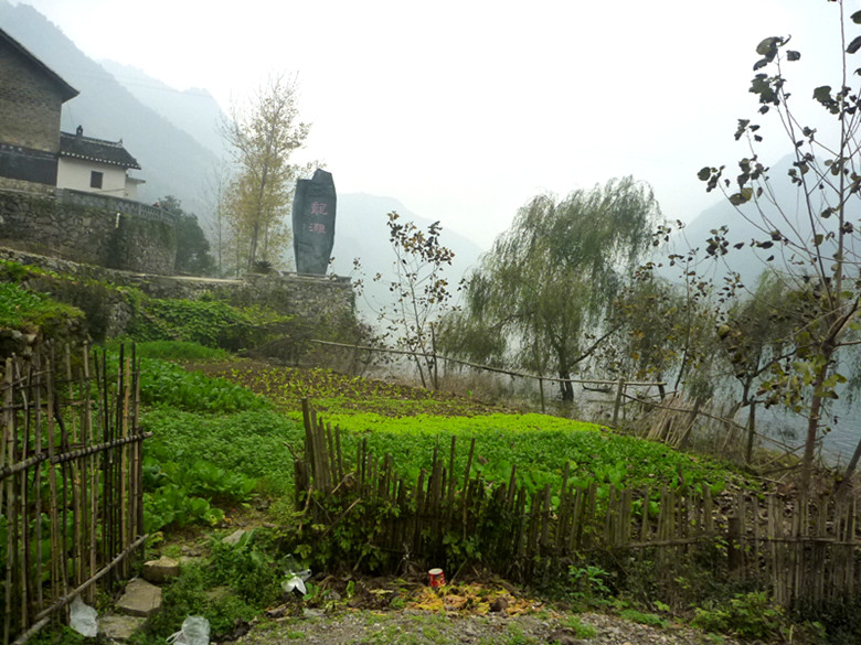 p1090338_.jpg