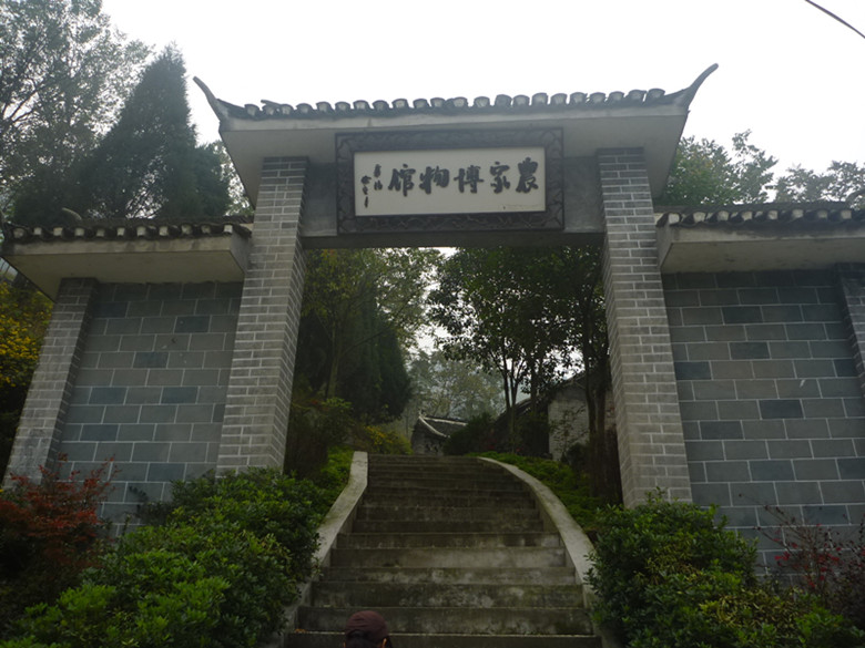p1090339_.jpg