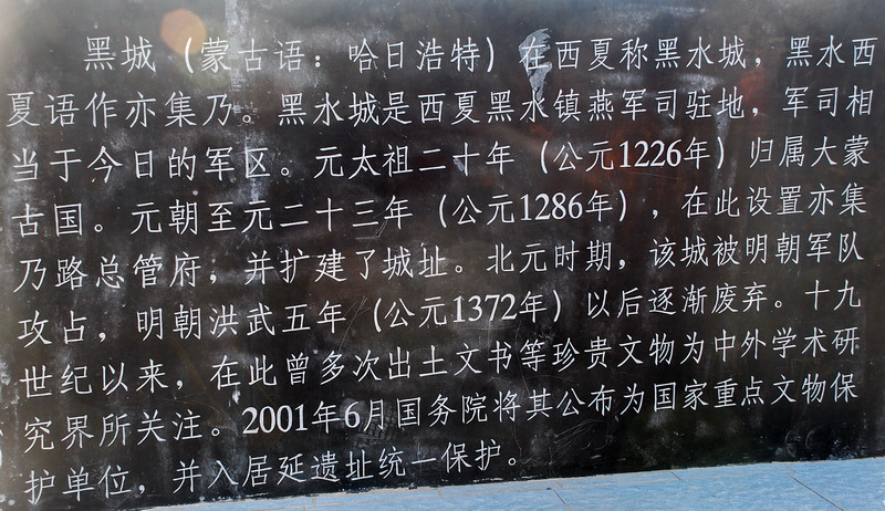 dsc_0447.jpg