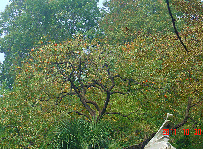dsc02756_.jpg