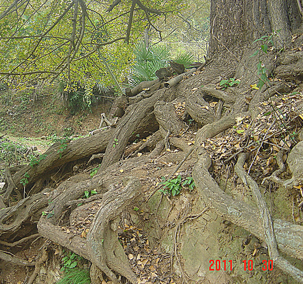 dsc02793_.jpg
