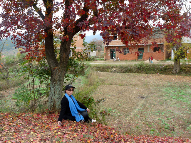 p1120413.jpg