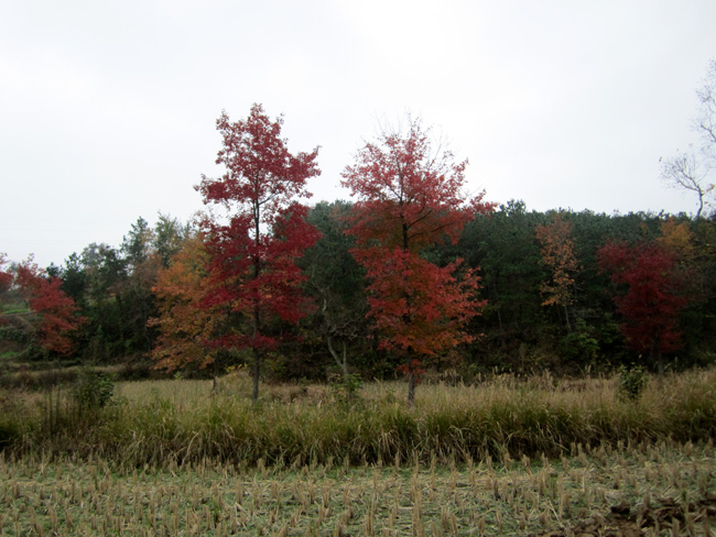 img_5445.jpg