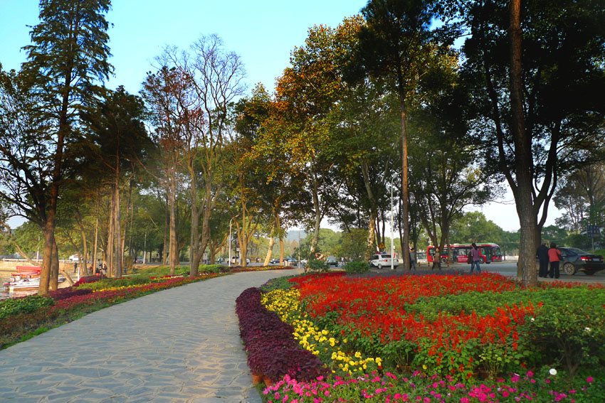 p1030428 .jpg