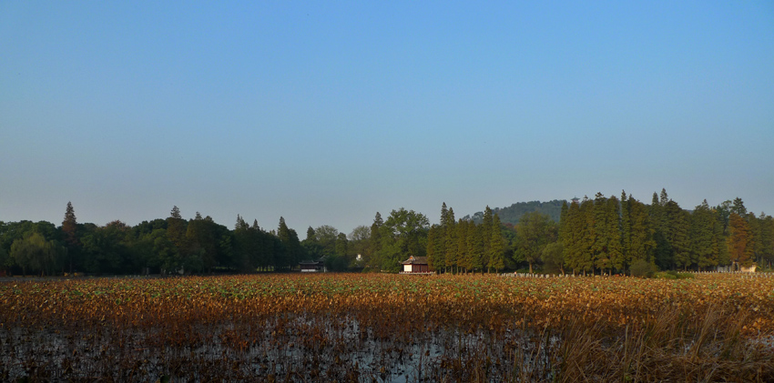 p1030434 .jpg