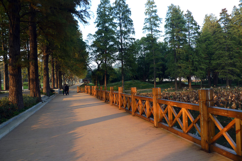 p1030446 .jpg