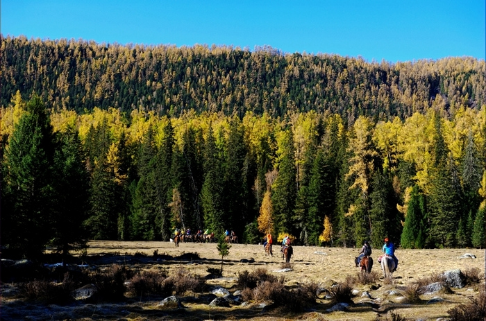dsc_0416.jpg
