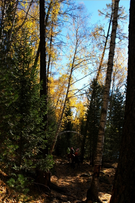 dsc_0208.jpg