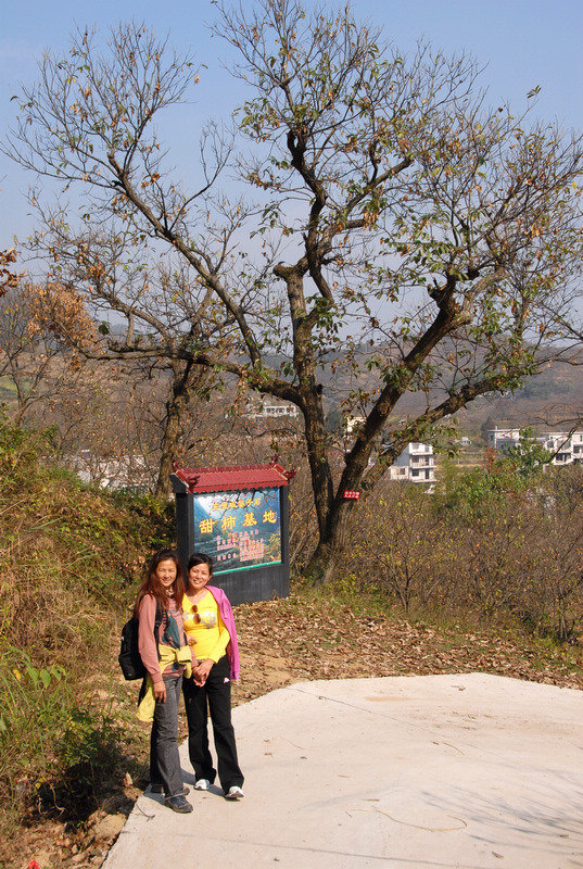 dsc_0037.jpg