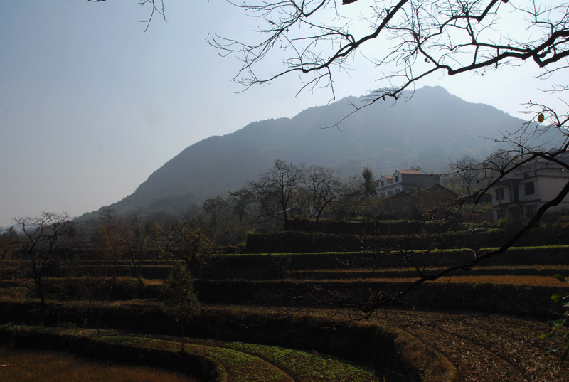 dsc_0039.jpg