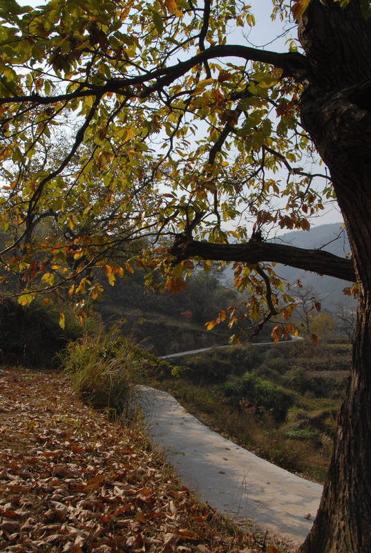 dsc_0068.jpg
