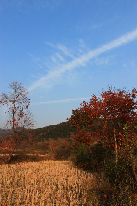 img_3839.jpg