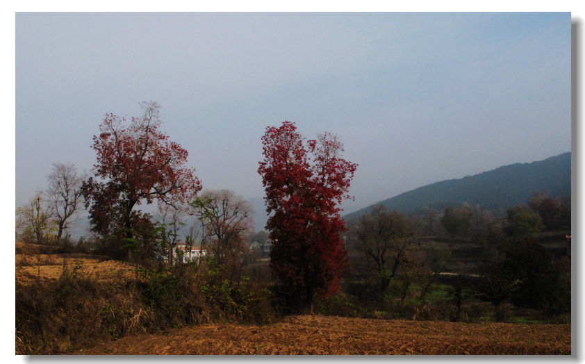 201111112 001.jpg