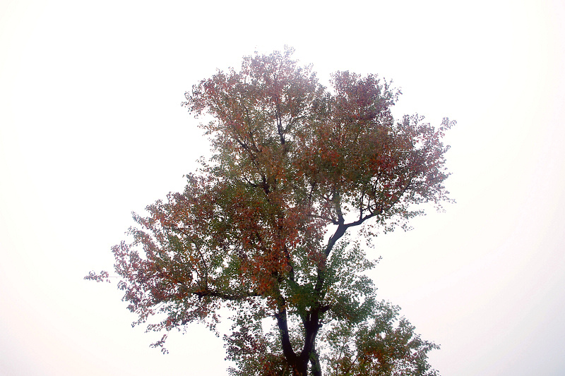imgp8484.jpg