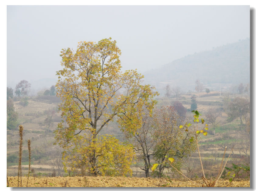 201111112 010.jpg