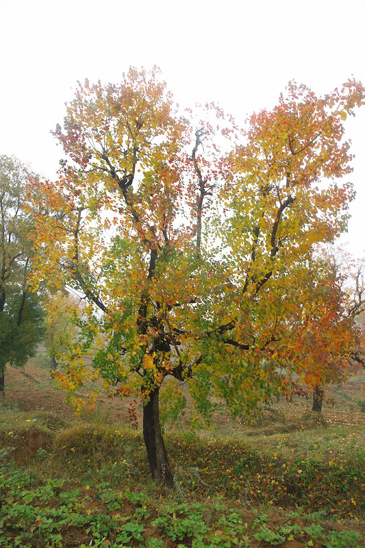 imgp8409.jpg