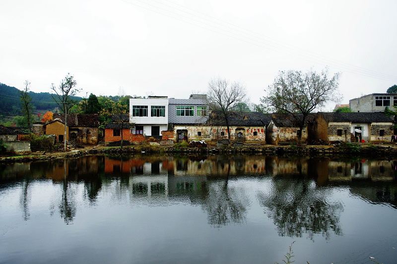 imgp9105.jpg