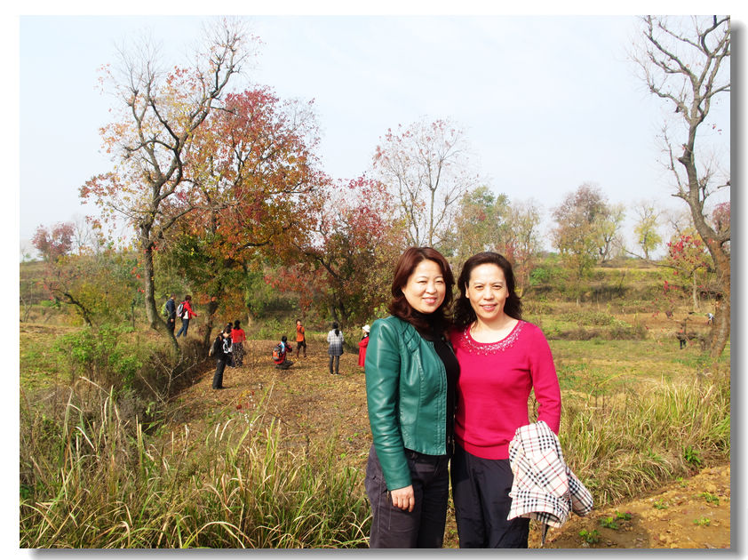 201111112 023.jpg