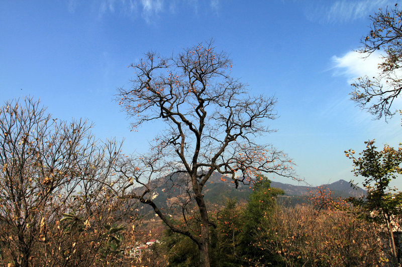 img_0003.jpg