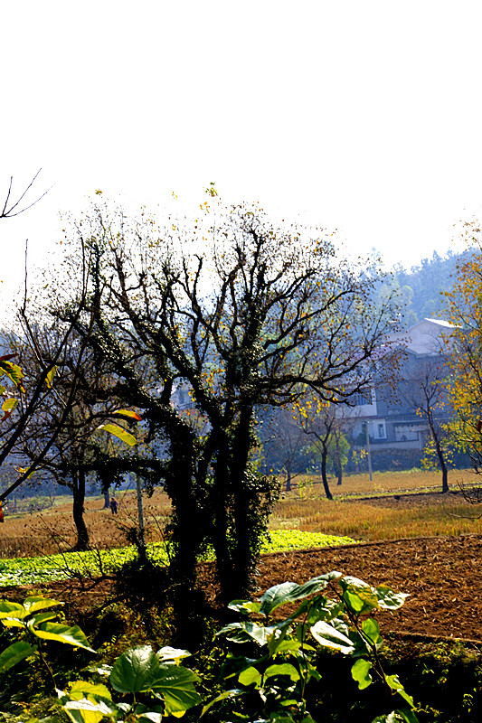 _mg_0060_.jpg