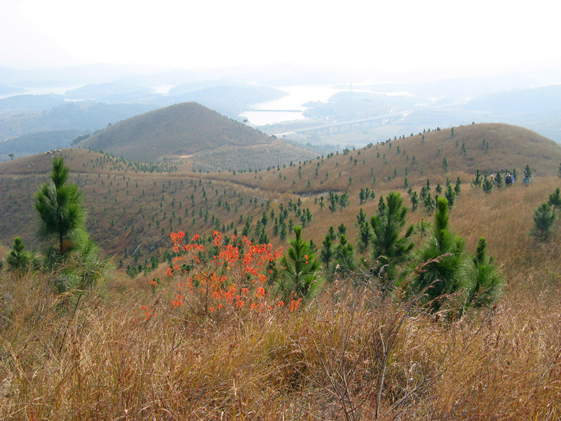 2011.11.12 011_.jpg