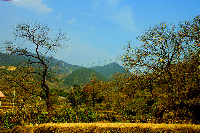 _mg_0062__.jpg