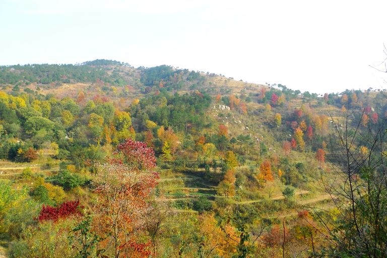 p1120110.jpg