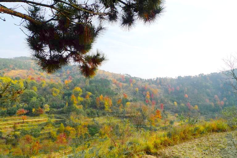 p1120107.jpg