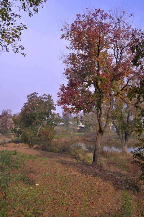 _dsc0002.jpg