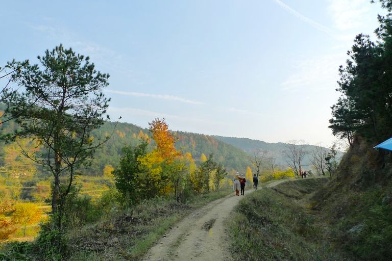 p1120127.jpg
