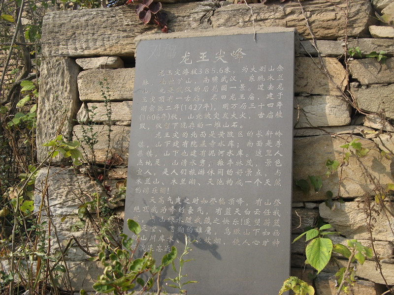 2011.11.12 037_.jpg