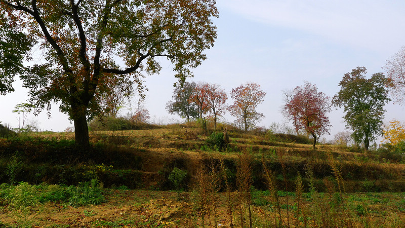 p1060449.jpg