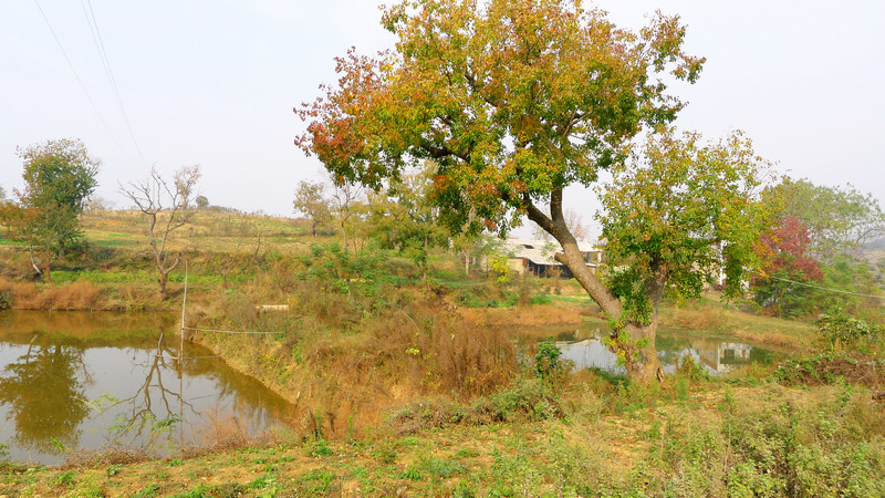 p1060453.jpg