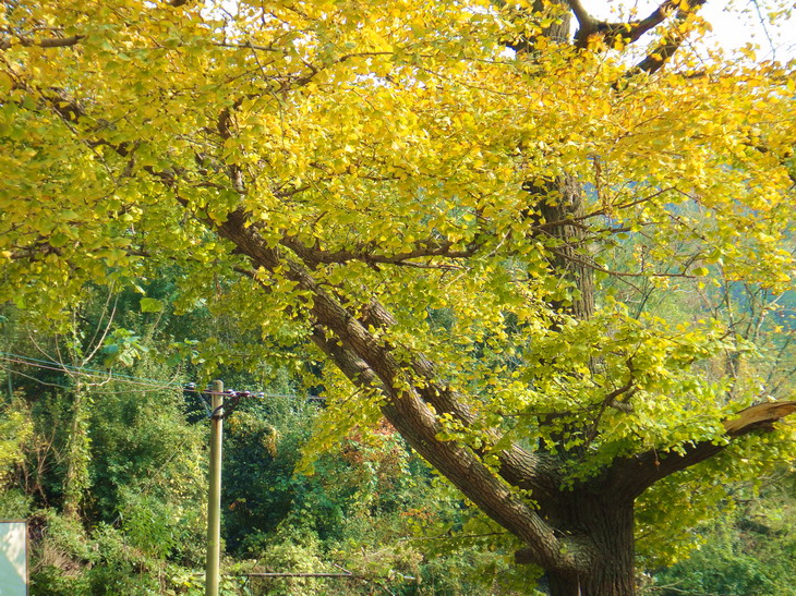 dsc08907.jpg
