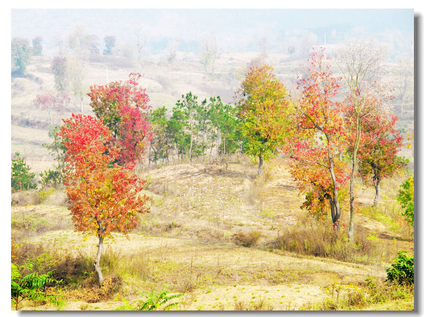 201111112 043.jpg