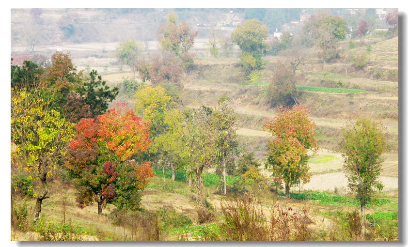 201111112 045.jpg
