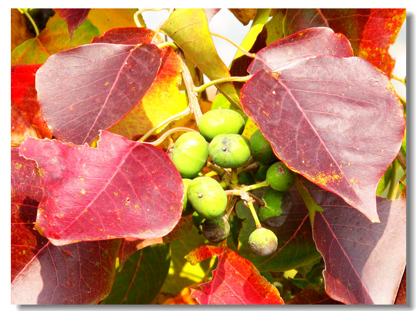 201111112 047.jpg