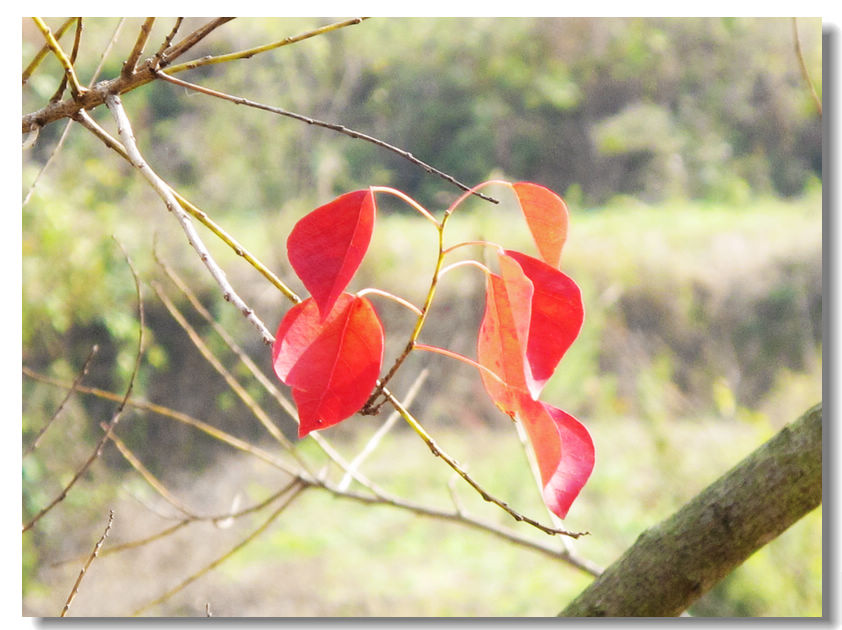 201111112 052.jpg