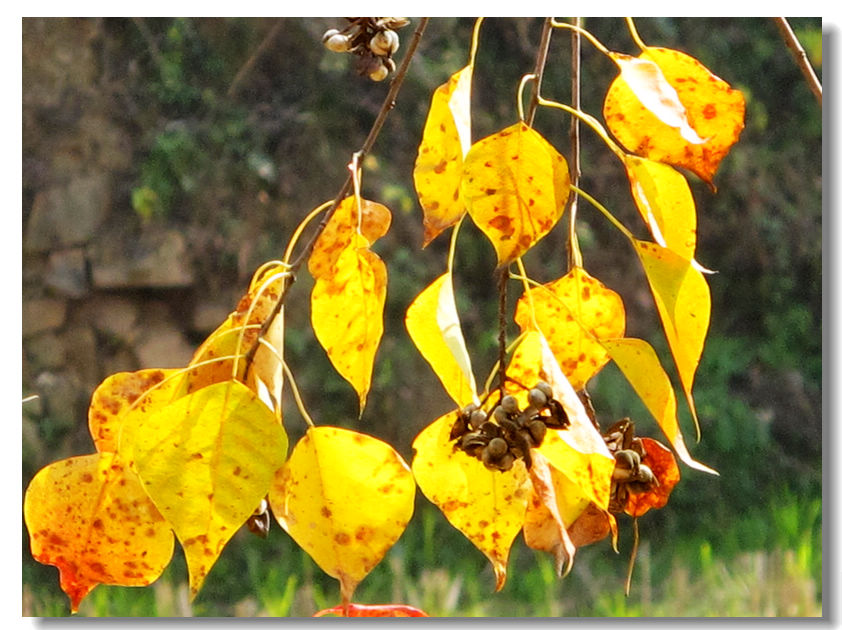 201111112 057.jpg