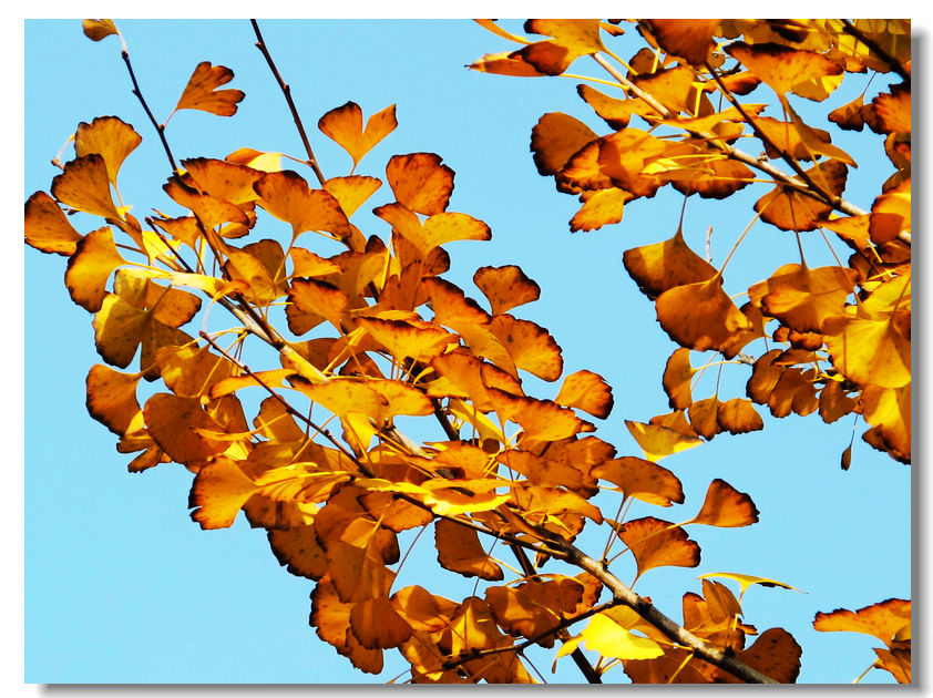 201111112 064.jpg